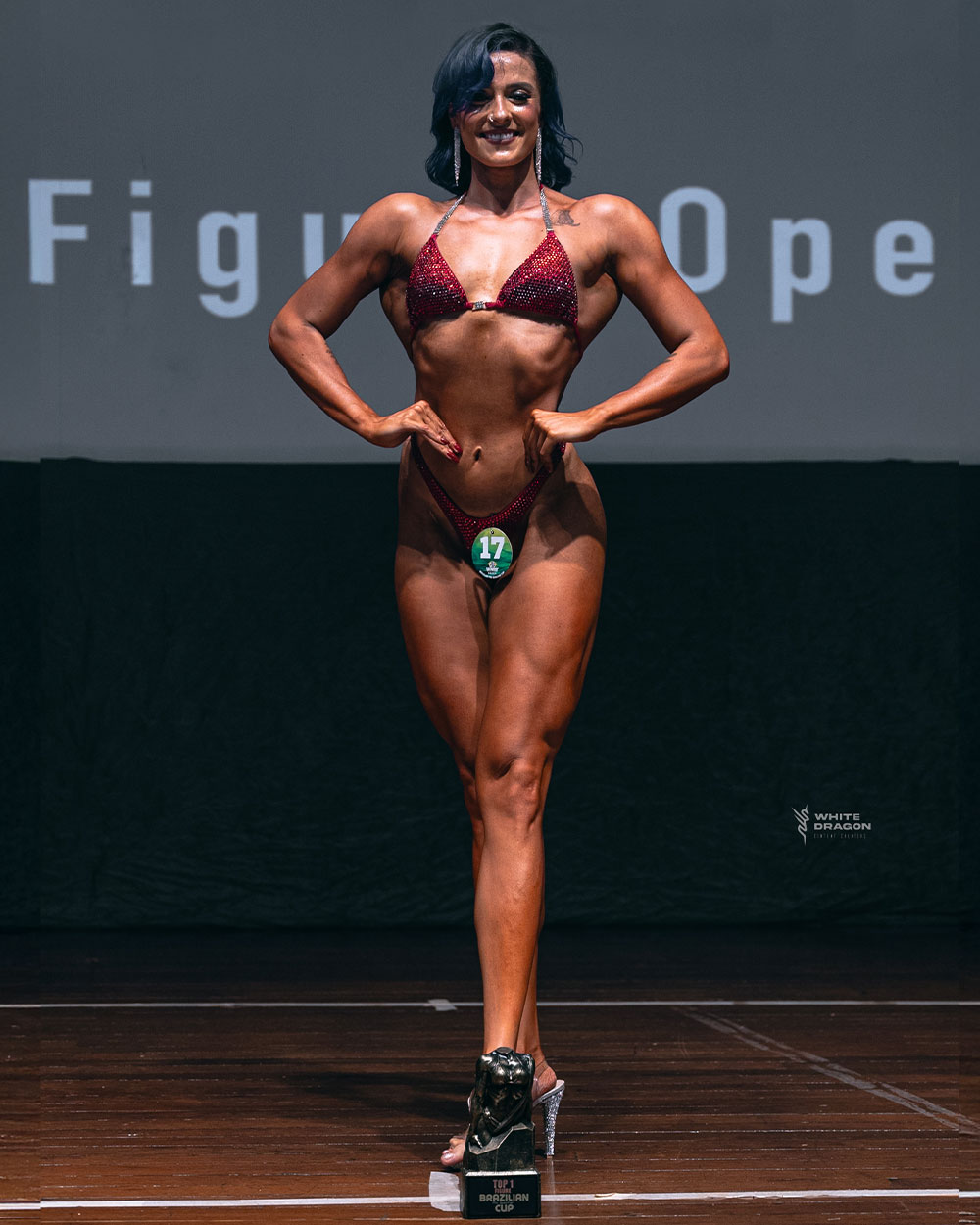 wnbf-brazil-figure